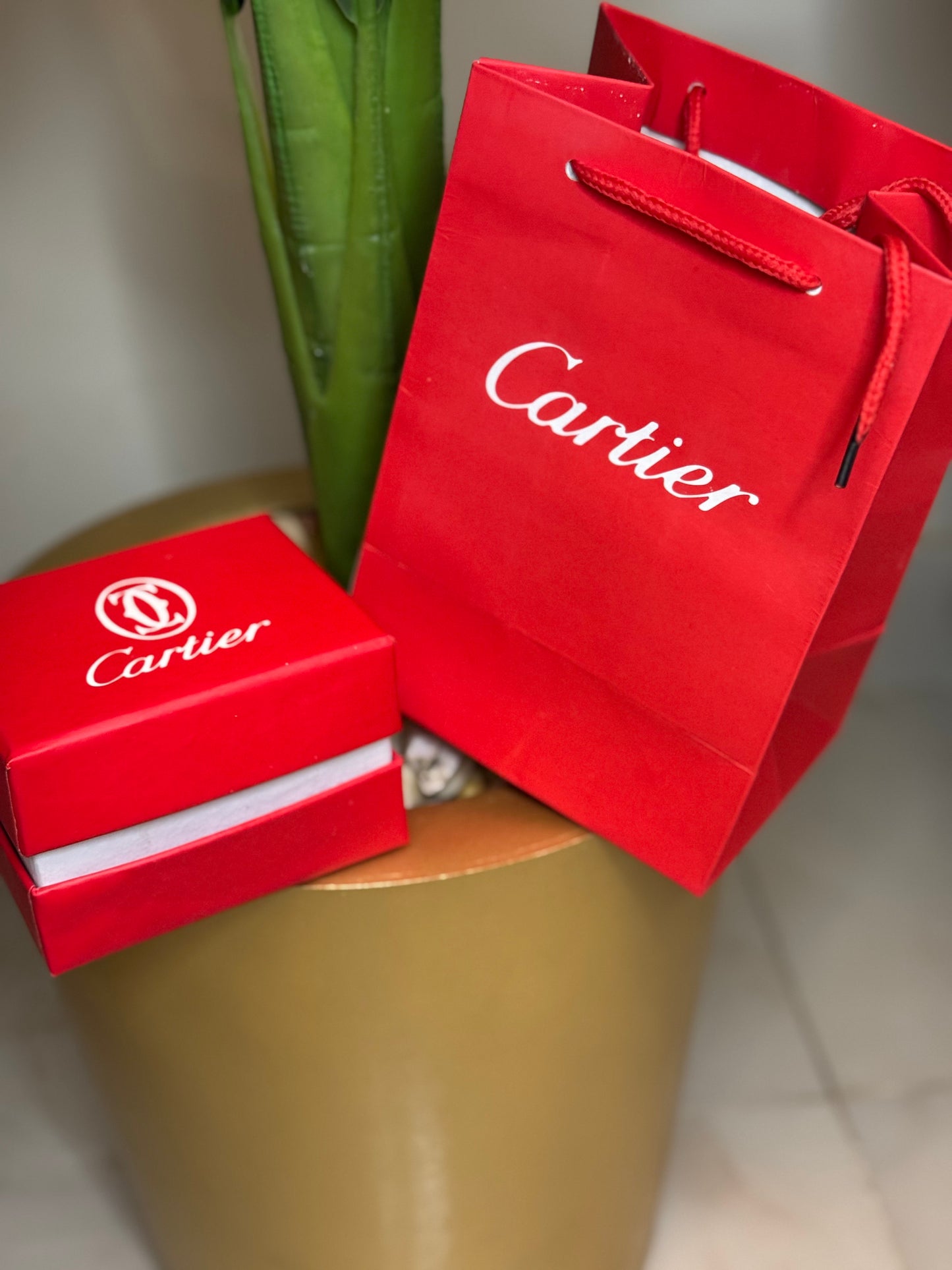 Cartier Santos Galbée