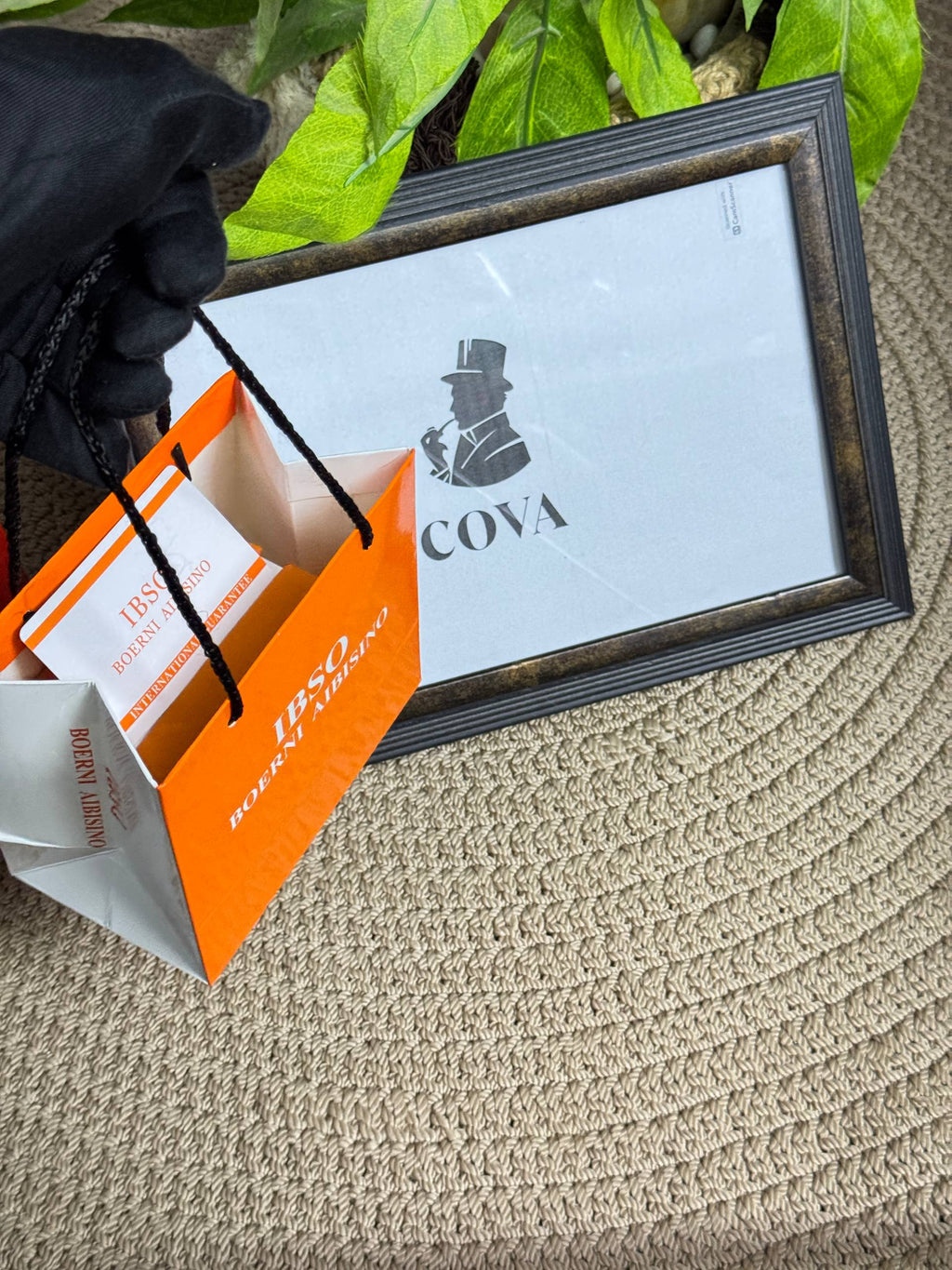 IBSO - TANK Original